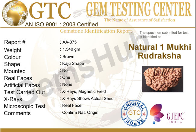 1 Face/Mukhi Certified Rudraksha 28.20 mm